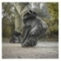 Topánky M-Tac Tactical Demi-Season Boots - čierne, 42