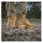 Topánky M-Tac Tactical Demi-Season Boots - coyote, 40 Topánky M-Tac Tactical Demi-Season Boots - coyote, 40