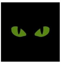 Nášivka M-Tac Tiger Eyes Laser Cut 2 ks - coyote-žlutá