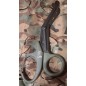Rhino Rescue Trauma nožnice 19 cm Green Rhino Rescue Trauma nožnice 19 cm Green