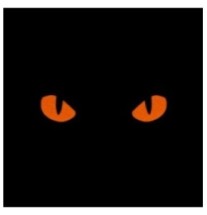Nášivka M-Tac Cat Eyes - coyote-červená