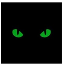 Nášivka M-Tac Cat Eyes - coyote-zelená