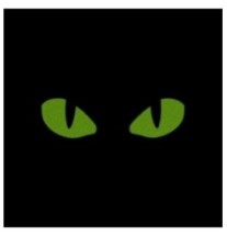 Nášivka M-Tac Tiger Eyes Laser Cut 2 ks - čierna-žltá