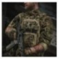 Nášivka M-Tac Tactical Girl Yakuza 1 - farebná
