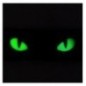 Nášivka M-Tac Cat Eyes 3D - čierna Nášivka M-Tac Cat Eyes 3D - čierna