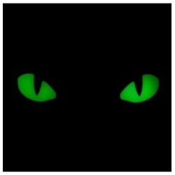 Nášivka M-Tac Cat Eyes 3D - coyote