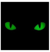 Nášivka M-Tac Cat Eyes 3D - coyote