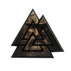 Nášivka M-Tac Valknut 3D - čierna-coyote