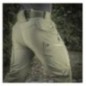 Nohavice M-Tac Soft Shell Winter - olivové, XS Nohavice M-Tac Soft Shell Winter - olivové, XS