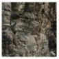 Taktický opasok M-Tac Armor Tegris D-Ring Cobra - multicam, XS/S Taktický opasok M-Tac Armor Tegris D-Ring Cobra - multicam, XS/S